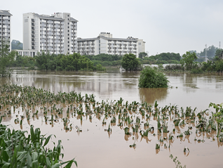⭐诚信买卖
探探协议号
一手货源哪里买