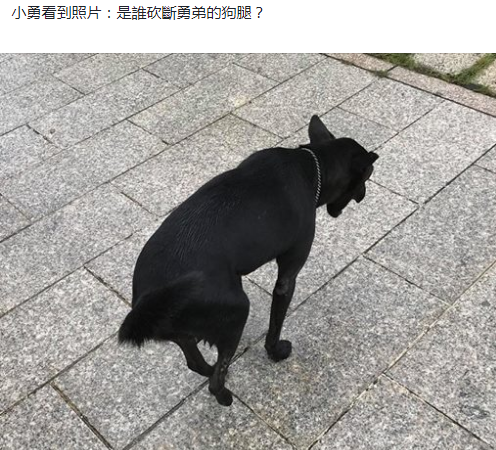⭐异常包售后
X薅羊毛号
在哪买的不容易封号